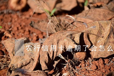 农行信用卡逾期了会怎么样