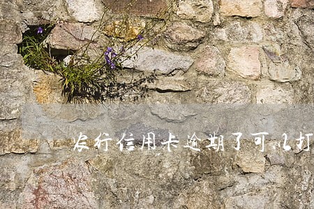 农行信用卡逾期了可以打证明吗 农行信用卡逾期了可以打证明吗