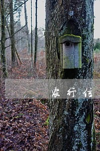农行信用卡逾期了好久上征信 农行信用卡逾期了好久上征信