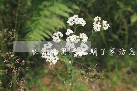 农行信用卡逾期了家访怎么办 农行信用卡逾期了家访怎么办