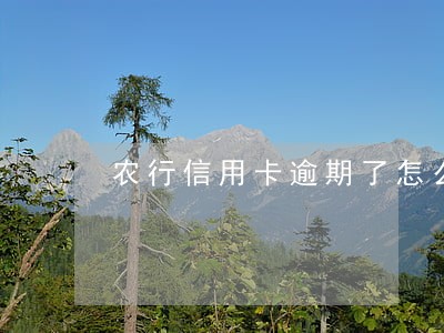 农行信用卡逾期了怎么解封 农行信用卡逾期了怎么解封