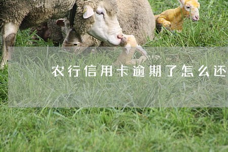 农行信用卡逾期了怎么还 农行信用卡逾期了怎么还
