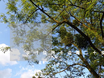 农行信用卡逾期二十多天 农行信用卡逾期二十多天