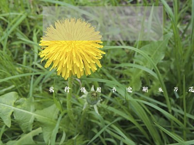 农行信用卡逾期五万还了七千了 农行信用卡逾期五万还了七千了