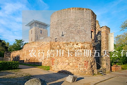农行信用卡逾期五天会有什么后果
