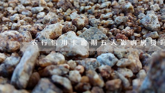 农行信用卡逾期五天影响房贷吗 农行信用卡逾期五天影响房贷吗