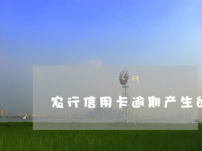 农行信用卡逾期产生的手续费