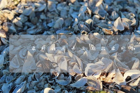 农行信用卡逾期从农行扣款 农行信用卡逾期从农行扣款