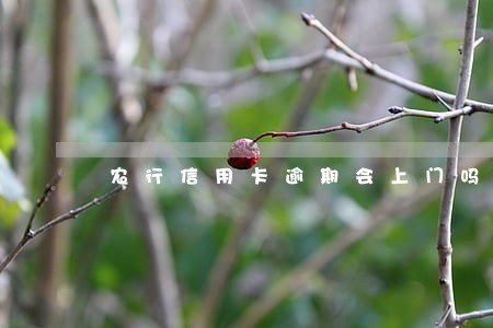 农行信用卡逾期会上门吗我爱卡 农行信用卡逾期会上门吗我爱卡