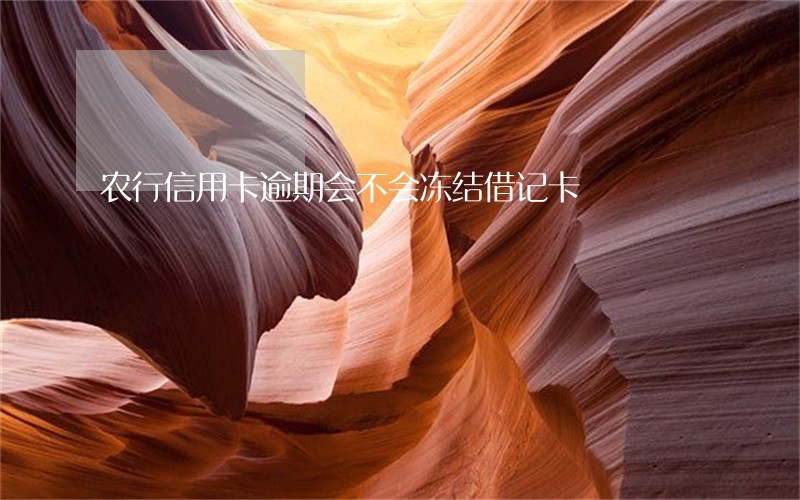 农行信用卡逾期会不会冻结借记卡 农行信用卡逾期会不会冻结借记卡