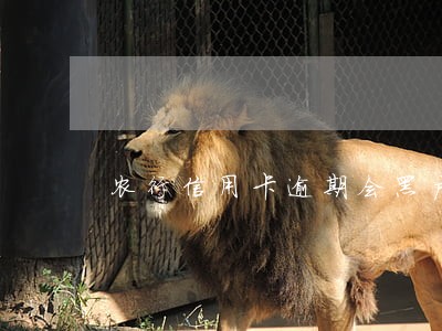 农行信用卡逾期会黑户吗 农行信用卡逾期会黑户吗