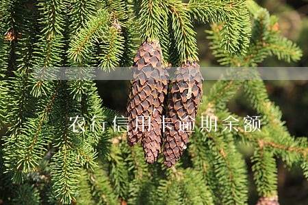 农行信用卡逾期余额