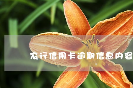 农行信用卡逾期信息内容 农行信用卡逾期信息内容