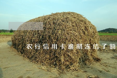 农行信用卡逾期冻结了额度还在 农行信用卡逾期冻结了额度还在