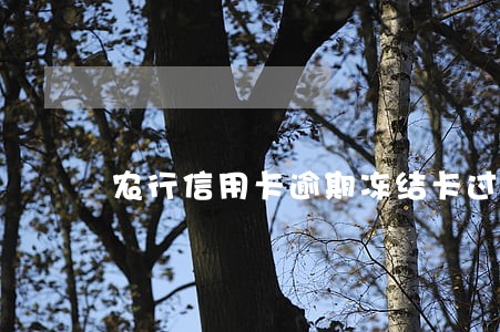 农行信用卡逾期冻结卡过期了
