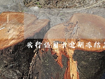 农行信用卡逾期冻结怎么解开 农行信用卡逾期冻结怎么解开