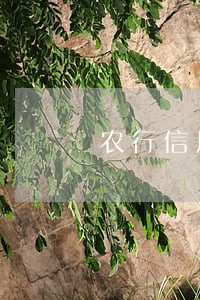 农行信用卡逾期几天怎么办6 农行信用卡逾期几天怎么办6