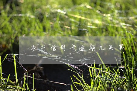 农行信用卡逾期几天算 农行信用卡逾期几天算