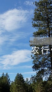 农行信用卡逾期几天算不良记录单 农行信用卡逾期几天算不良记录单