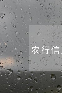 农行信用卡逾期刑警队正在找我