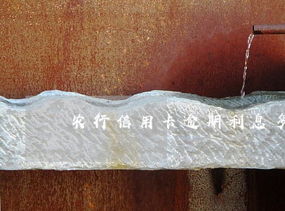 农行信用卡逾期利息多少钱一天