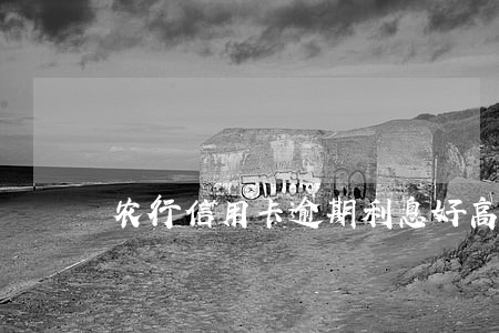 农行信用卡逾期利息好高