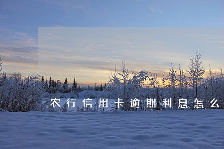 农行信用卡逾期利息怎么算6 农行信用卡逾期利息怎么算6