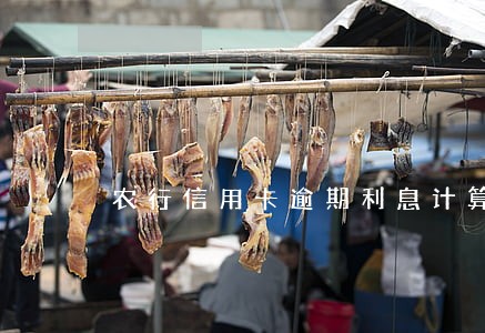 农行信用卡逾期利息计算方法 农行信用卡逾期利息计算方法