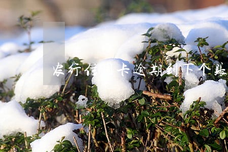 农行信用卡逾期到下个账单 农行信用卡逾期到下个账单