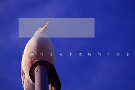 农行信用卡逾期刷不出来 农行信用卡逾期刷不出来