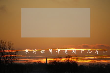 农行信用卡逾期十几个小时 农行信用卡逾期十几个小时