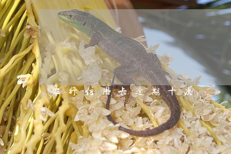 农行信用卡逾期十次 农行信用卡逾期十次