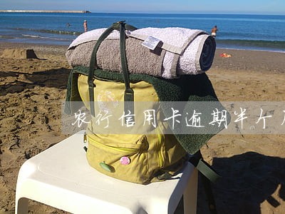 农行信用卡逾期半个月有什么影响