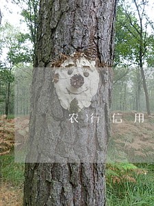 农行信用卡逾期半年多了 农行信用卡逾期半年多了