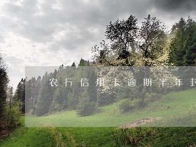 农行信用卡逾期半年封卡后如何解