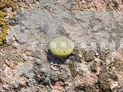 农行信用卡逾期协商还款找谁 农行信用卡逾期协商还款找谁