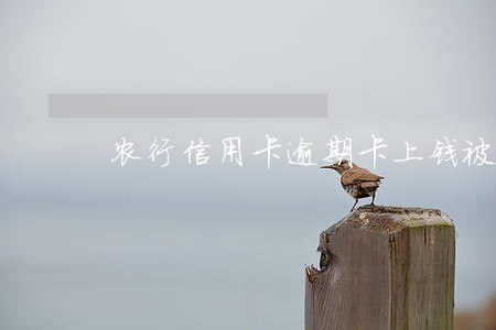 农行信用卡逾期卡上钱被扣 农行信用卡逾期卡上钱被扣