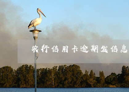 农行信用卡逾期发信息说要外访 农行信用卡逾期发信息说要外访