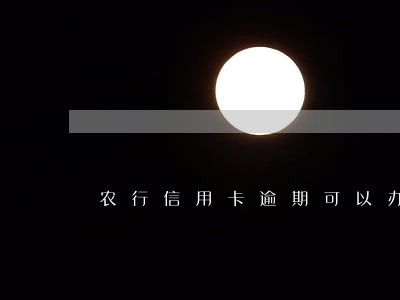 农行信用卡逾期可以办延期还款吗