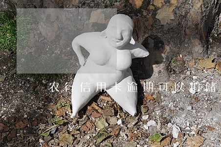 农行信用卡逾期可以扣储蓄卡吗