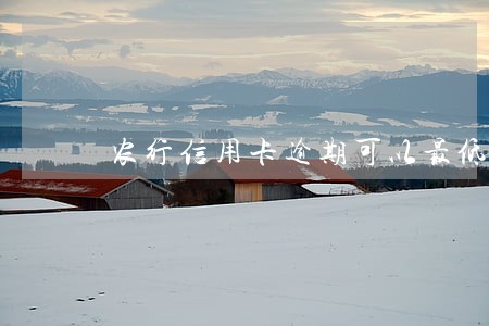 农行信用卡逾期可以最低还款 农行信用卡逾期可以最低还款