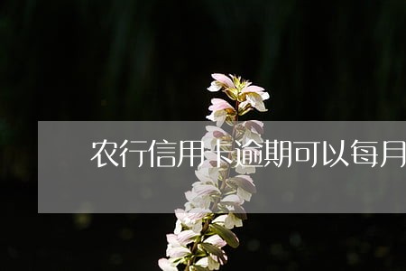 农行信用卡逾期可以每月还多少 农行信用卡逾期可以每月还多少