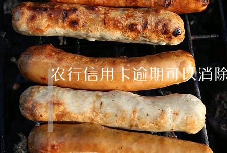 农行信用卡逾期可以消除吗