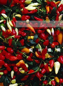 农行信用卡逾期可否协商