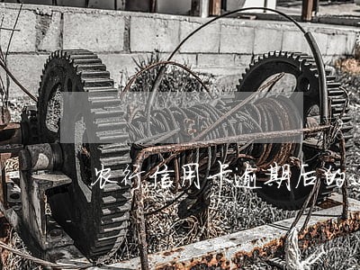 农行信用卡逾期后的还款顺序 农行信用卡逾期后的还款顺序