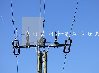 农行信用卡逾期后还能用吗 农行信用卡逾期后还能用吗