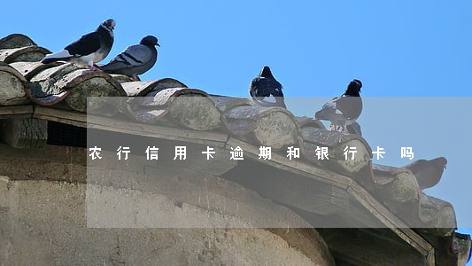 农行信用卡逾期和银行卡吗