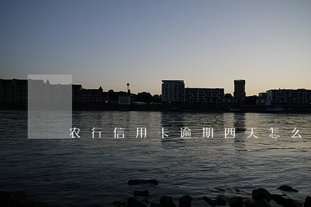 农行信用卡逾期四天怎么办 农行信用卡逾期四天怎么办