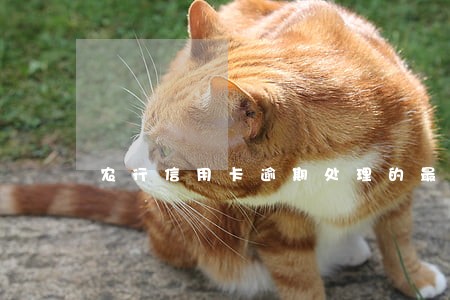 农行信用卡逾期处理的最佳方案 农行信用卡逾期处理的最佳方案