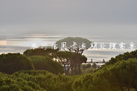 农行信用卡逾期处理需要多长时间 农行信用卡逾期处理需要多长时间